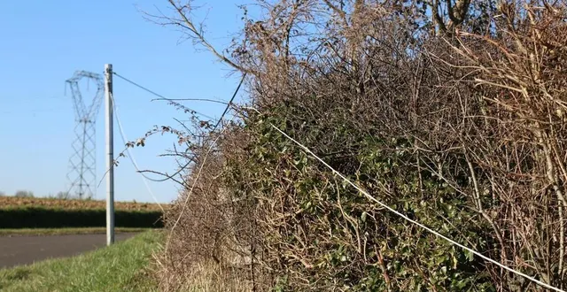 photo  dans la campagne autour de surdon, hameau de la commune de macé, de nombreux fils électriques, distendus, passent dans les haies, à hauteur d’humain.  &copy;  ouest-france 