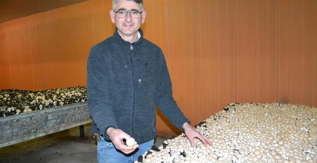 photo  patrick s’est lancé dans la culture de champignons de paris dans une ancienne maternité porcine.  &copy;  le maine libre 