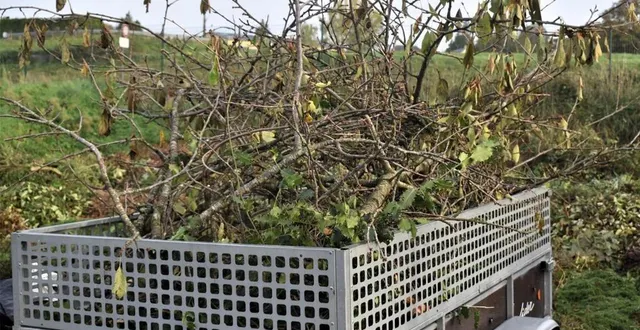 photo  l’objectif de l’opération de « je broie du vert » est de permettre aux habitants des communes de la cua d’apporter leurs branchages  &copy;  ouest-france 