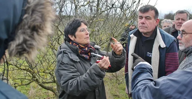 photo  stéphanie dorizon a prodigué ses conseils sur la taille des arbres fruitiers, samedi 25 février 2023, à sablé-sur-sarthe.  &copy;  ouest-france 