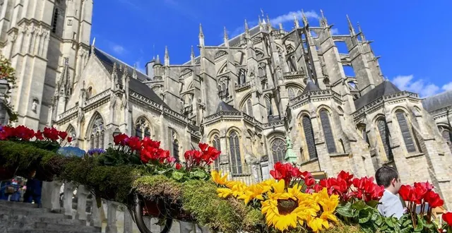 photo  le mans rétrograde dans le classement mais demeure dans le top 10.  &copy;  archives le maine libre yvon loué 