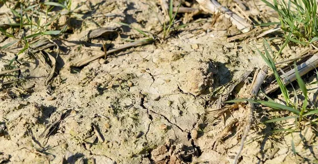 photo  météo france considèrant qu’un jour de pluie est un jour où il est tombé au moins un millimètre de précipitations, en sarthe, il n’a pas plu pendant 35 jours d’affilée.  &copy;  le maine libre – yvon loue 