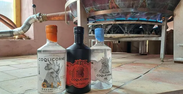 photo  le gin français destiné à l’alambic de la distillerie coqlicorne a reçu la médaille d’argent.  &copy;  ouest-france 