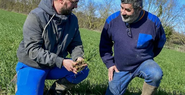 photo  montreuil-le-henri lundi 27 février 2023. aurélien bigarret a pris la suite de francis vaudoux. les deux hommes le concèdent : la situation dans le bio s’est tendue. mais pas question pour eux de baisser les bras.  &copy;  le maine libre-yvon loue 