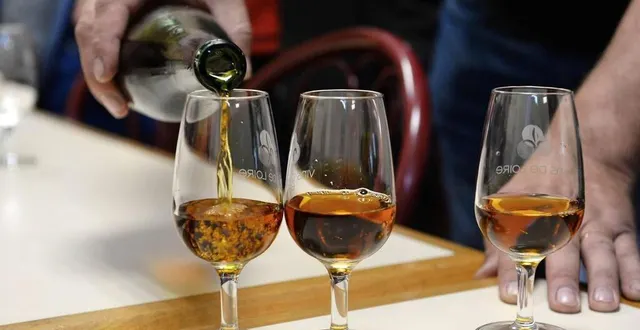 photo  le 14e salon du vin se tient à saint-georges-des-groseillers ces 11 et 12 mars 2023.  &copy;  archives 