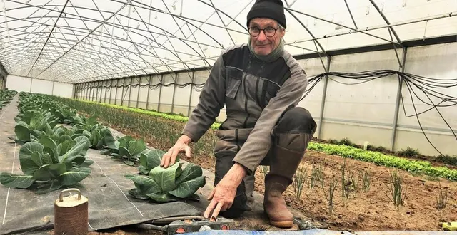 photo  alain penloup arrose ses légumes par un système de goutte-à-goutte. un système d’arrosage aérien est utilisé en complément.  &copy;  le maine libre 