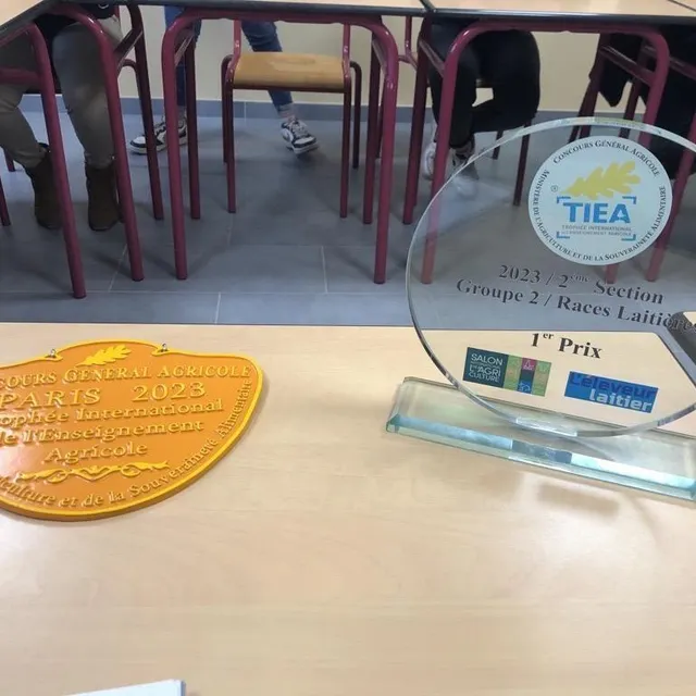 photo les lycéens sont repartis avec un trophée.  ©  ouest-france