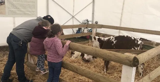 photo  les enfants ont pu découvrir de nombreux animaux pendant ces deux jours de fête de la normandie à argentan (orne).  &copy;  ouest-france 