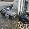 photo  rue aristide-briand à argentan, ces sacs-poubelles contenant des bouteilles en verre et du carton n’ont pas été collectés. 