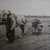 photo pour l’exposition « un siècle d’agriculture à parcé », denis freslon recherche des clichés de scènes de battage, de fabrication de cidre, vendange, travaux aux champs…