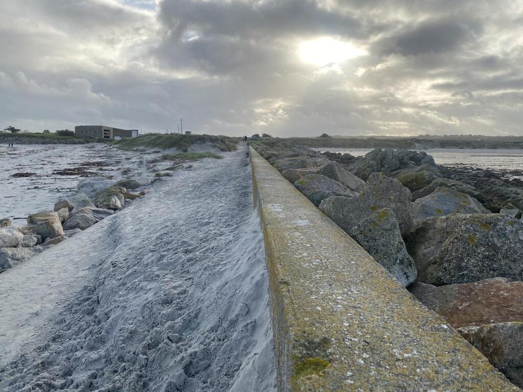 En images, les algues vertes recouvrent la baie du Curnic dans le Finistère