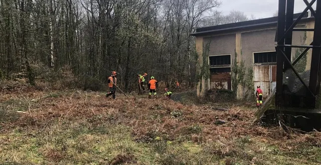 photo  les lycéens ont notamment coupé les ronces à proximité du chevalement.  &copy;  ouest-france 
