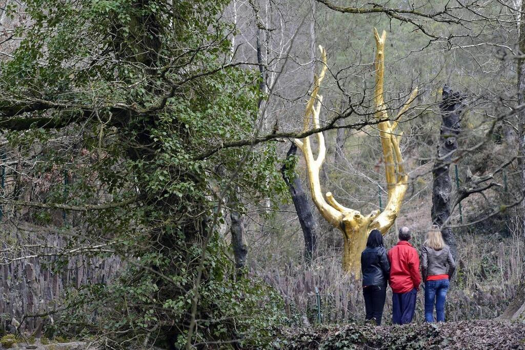 CARTE Cinq Sites À Ne Pas Manquer Si Vous Visitez La Légendaire Forêt