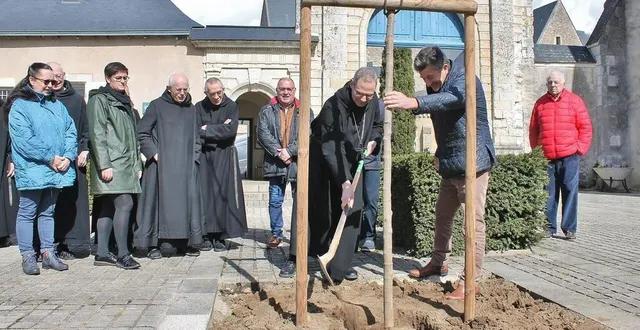 photo  le père abbé geoffroy kemlin a planté le mûrier à feuilles de platane offert par la commune, vendredi 24 mars 2023, sur la place dom guéranger, à l’entrée de l’abbaye saint-pierre de solesmes.  &copy;  ouest-france 