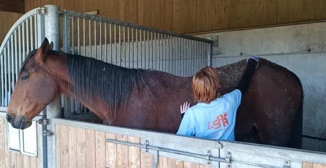 photo  la refuge spa de pervenchères.  &copy;  refuge spa 