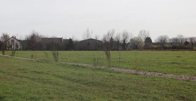 photo  la parcelle, prévue pour le projet d’agroforesterie, est délimitée par une haie plantée par les élèves du lycée de rouillon.  &copy;  ouest-france 