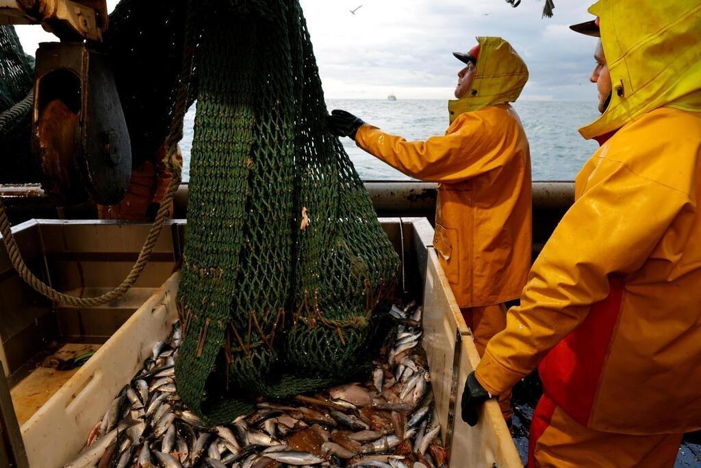Interdiction Du Plomb à La Pêche : Impacts Et Alternatives - Blog Leurre De  La Pêche