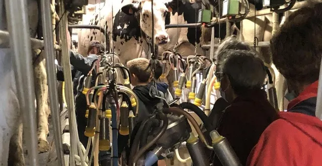 photo  événements phares de la saison estivaux, les après-midi à la ferme sont de retours en 2023.  &copy;  archives 