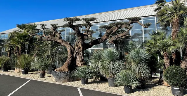 photo saumur. des végétaux d’exception et des conseils de qualité à la serre tixier &copy; la serre tixier