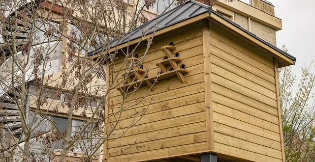 photo  des pigeonniers contraceptifs ont été installés à alençon.  &copy;  ville d’alençon – olivier heron 