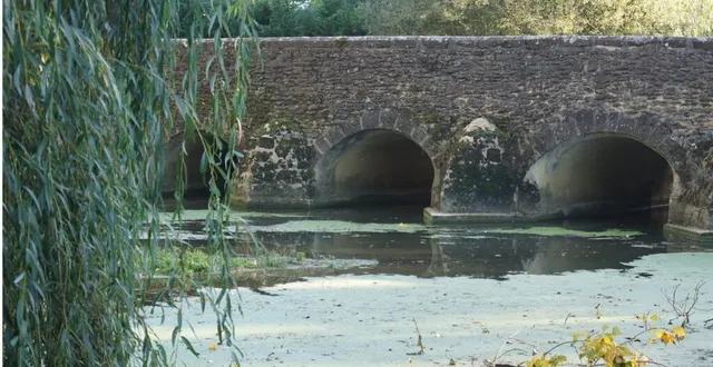 photo  les peintres dans le bocage a lieu ce week-end.  &copy;  ouest-france 