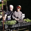 photo  trente ans de passion pour philippe et michèle manson qui préparent l’ouverture des jardins le vendredi 14 avril, pour une nouvelle saison. 