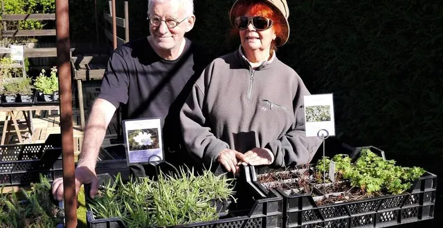 photo  trente ans de passion pour philippe et michèle manson qui préparent l’ouverture des jardins le vendredi 14 avril, pour une nouvelle saison.  &copy;  ouest-france 