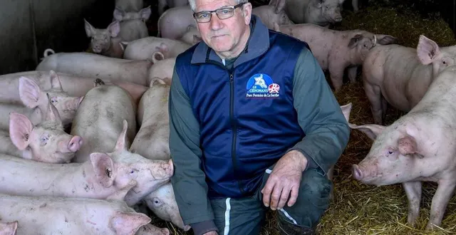 photo  saint-michel-de-chavaignes, mercredi 5 avril 2023. jean-claude guilmet juge la situation actuelle inédite. « la crise touche aussi l’aval d ela filière », dit-il.  &copy;  le maine libre-yvon loue 