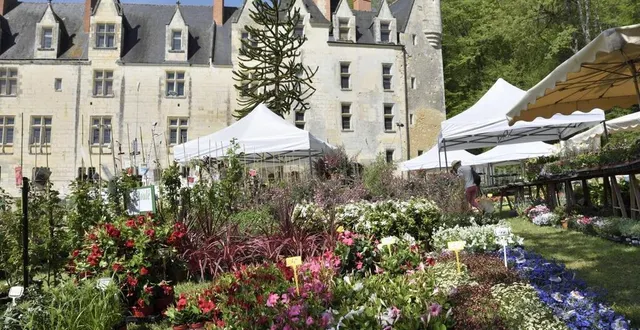 photo  le parc du château de courtanvaux, un cadre enchanteur pour fêter les plantes samedi 15 et dimanche 16 avril.  &copy;  archives le maine libre 