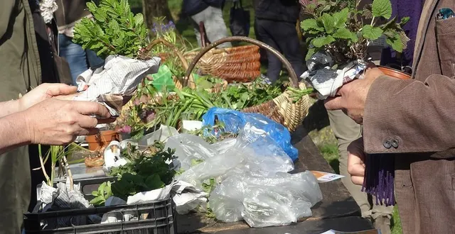 photo  c’est le moment pour trouver ce qui vous manque pour votre jardin.  &copy;  le maine libre 