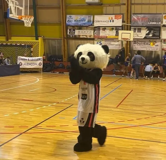 photo panda, la mascotte du club de basket d’alençon (orne), met l’ambiance au gymnase louvrier.  ©  ouest-france