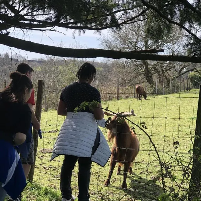 photo à saint-léonard-des-bois, pendant la rando de 5 km, le parc animalier est un moment permet de prendre une pause agréable.  ©  le maine libre