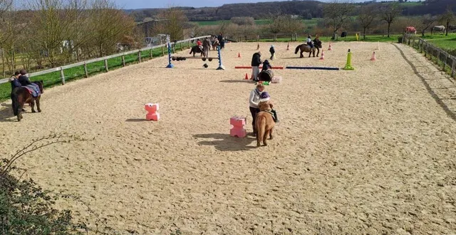 photo  sept séances de médiation autour du cheval qui ont eu du succès auprès des enfants de l’école.  &copy;  le maine libre 
