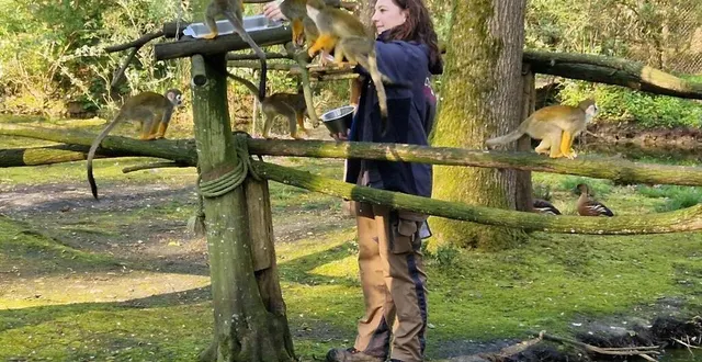 photo  laura da silva donnant à manger aux saïmiris.  &copy;  ouest-france 