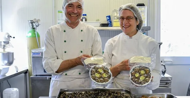 photo  ballon-saint-mars, mercredi 12 avril 2023. pour 300 000 escargots cuisinés par an dans leur laboratoire, hugues et géraldine millot ont élevé 500 000 gros-gris dans leur ferme.  &copy;  photo le maine libre – yvon loue 