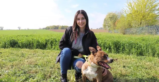 photo  basée au lude, près de la flèche (sarthe), coline lesœur est éducatrice comportementaliste canin. elle est ici avec bella, un american staffordshire terrier de 5 ans, à qui elle a appris à canaliser son énergie.  &copy;  ouest-france 