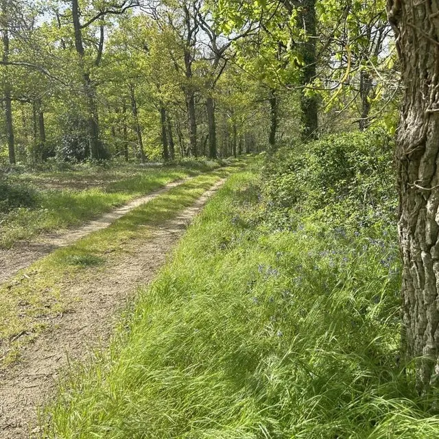 photo le bois de la martinière appartient au pôle santé sarthe et loir et n'est accessible en temps normal qu'à ses usagers.  ©  ouest-france