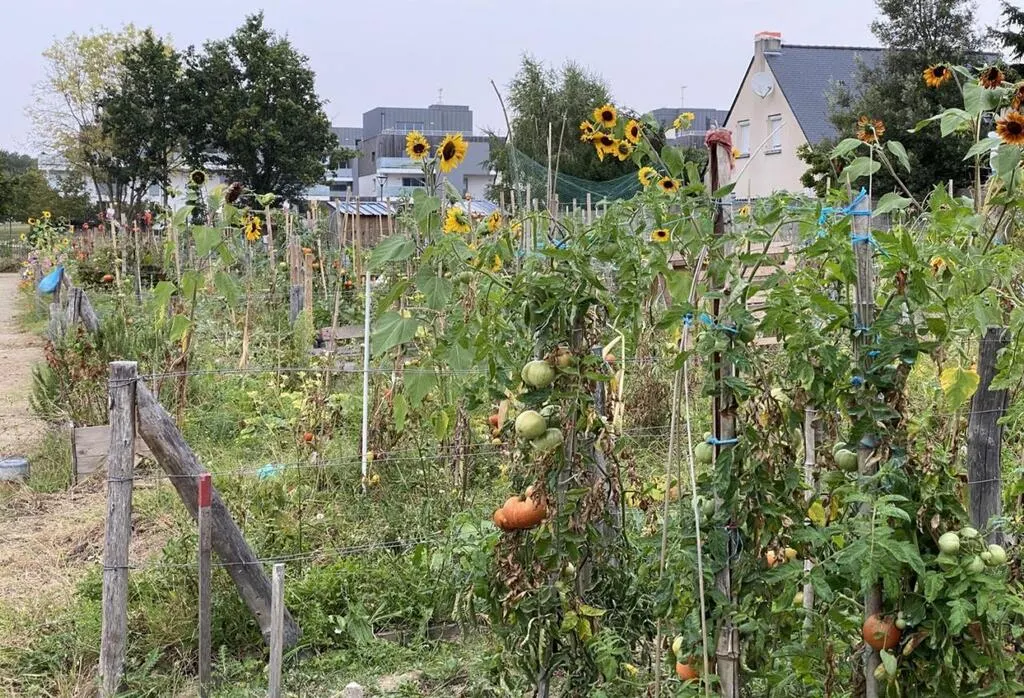 SainteLucesurLoire. Des parcelles à saisir dans les futurs jardins