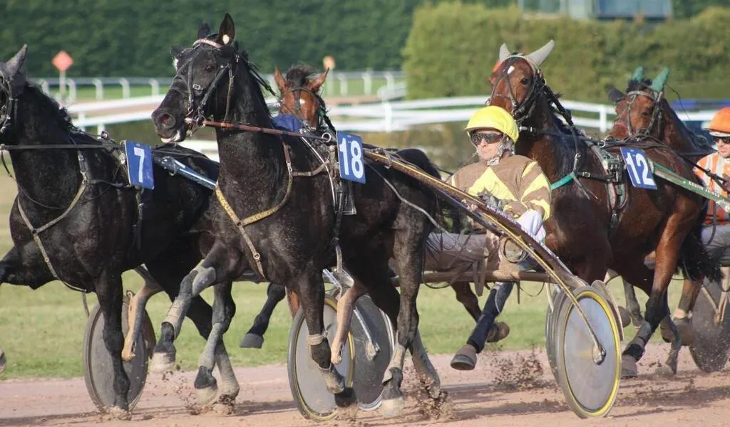 SaintMalo. La saison des courses à l’hippodrome commence ce dimanche