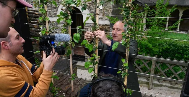 photo  angers, le 27 avril 2023. stéphane marie concentré sur l’attache d’un pommier après avoir croqué le relooking du jardin de ses célèbres feutres.  &copy;  co – laurent combet 