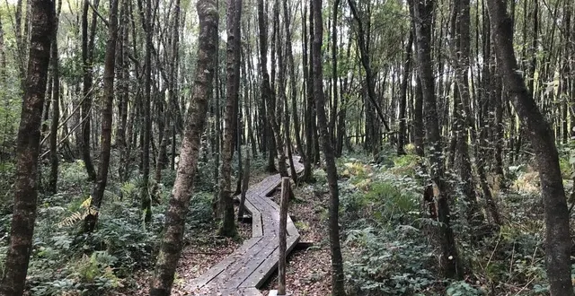 photo  inaugurée l’année dernière, la boucle de 6,5 kilomètres qui fait le tour du marais du grand hazé à briouze, est rouverte depuis le 15 avril.  &copy;  ouest-france 