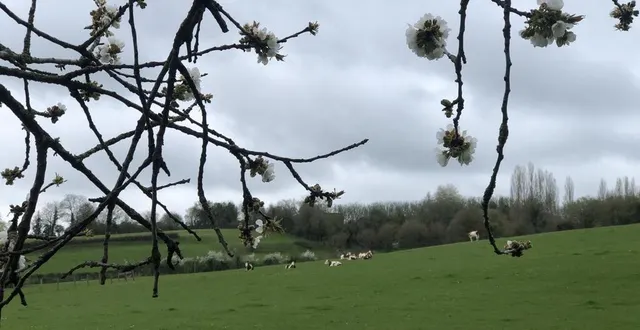 photo  en avril 2023 en sarthe, il a plu de façon normale, les températures ont été normales, et l’ensoleillement. une normalité qui était devenue inhabituelle.  &copy;  photo le maine libre 