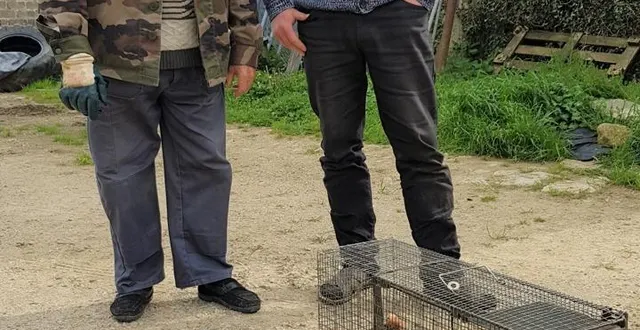 photo  bernard gainche( à gauche), piégeur et loïc crinier, maire de jauzé.  &copy;  le maine libre 