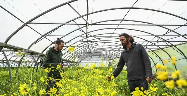 photo  luché-pringé, mardi 18 avril 2023. les fleurs et les pousses pour jonathan valentin (à gauche) et les légumes pour emmanuel portal (à droite) : les deux cultivateurs vendent leurs produits en circuit court.  &copy;  le maine libre-denis lambert 