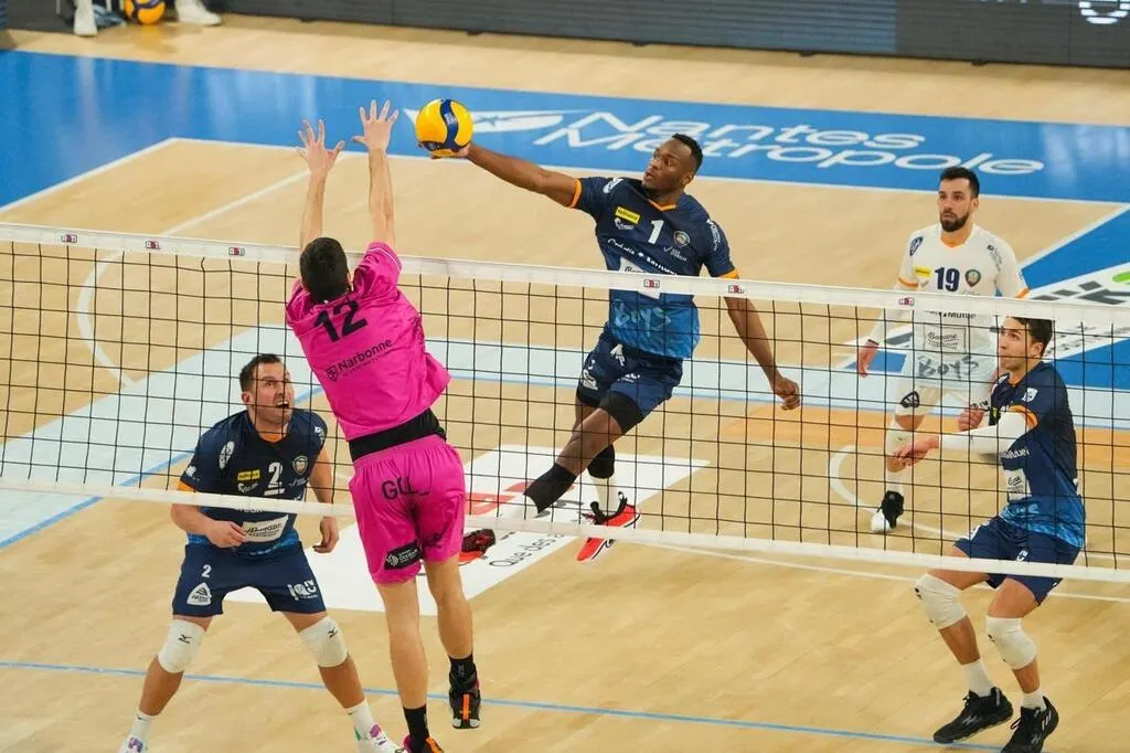 Loire Atlantique Volleyball. Ligue AM peu de mouvements attendus à