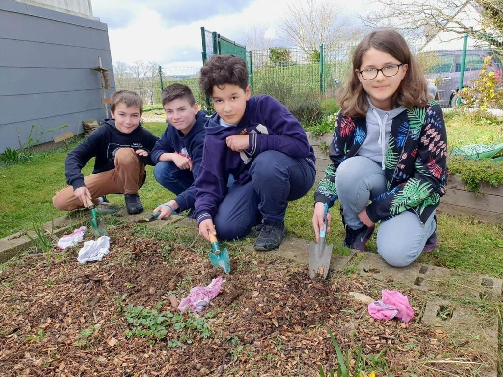 Planter Un Slip Pour Mieux Connaître Les Sols Une Expérience Pédagogique à Relativiser 7932