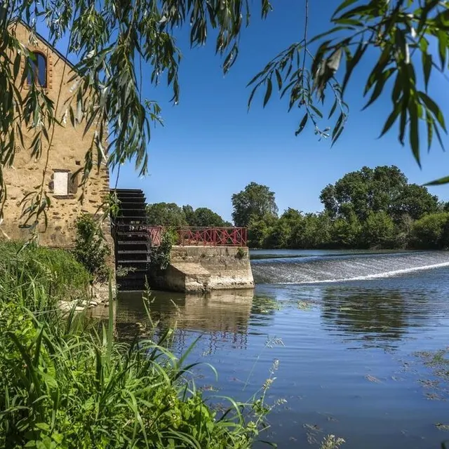 photo l’île de moulinsart, un petit coin de paradis avec de nombreuses animations  ©  archives le maine libre – denis lambert