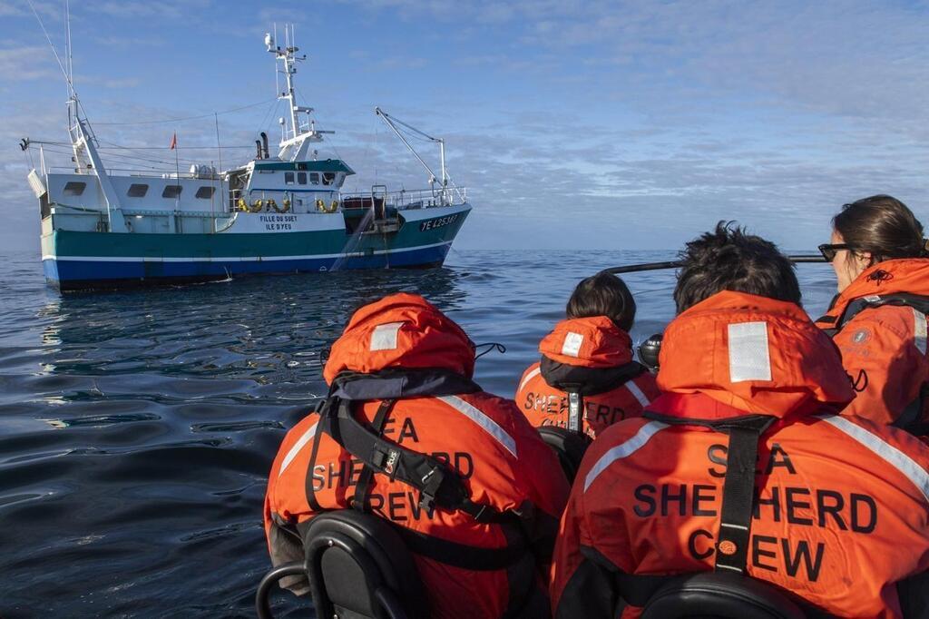 Sea Shepherd : qui veut la peau de l’organisation écologiste au service ...