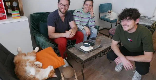 photo  boris, un client, avec sandy hervouet et valentin berrou, de cats ans cookies, et le chat miaouss qui, non, vraiment, ne semble pas s’en faire en attendant d’être adopté.  &copy;  ouest-france 