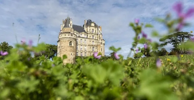 photo  le château de brissac-quincé.  &copy;  sébastien gaudard 